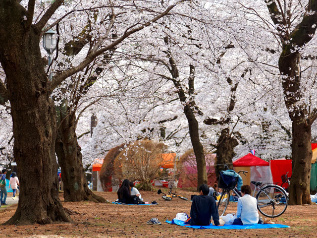 8D Japan Sakura Kobe Plus Shirakawago Holiday by SQ